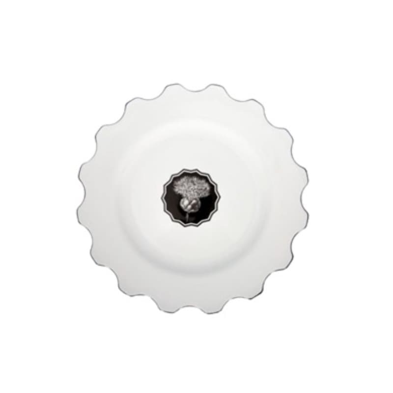DINNER PLATE HERBARIAE