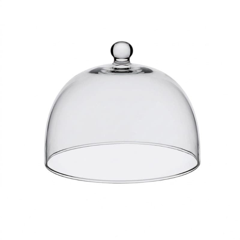 DOME FOR ARTICLE AL066