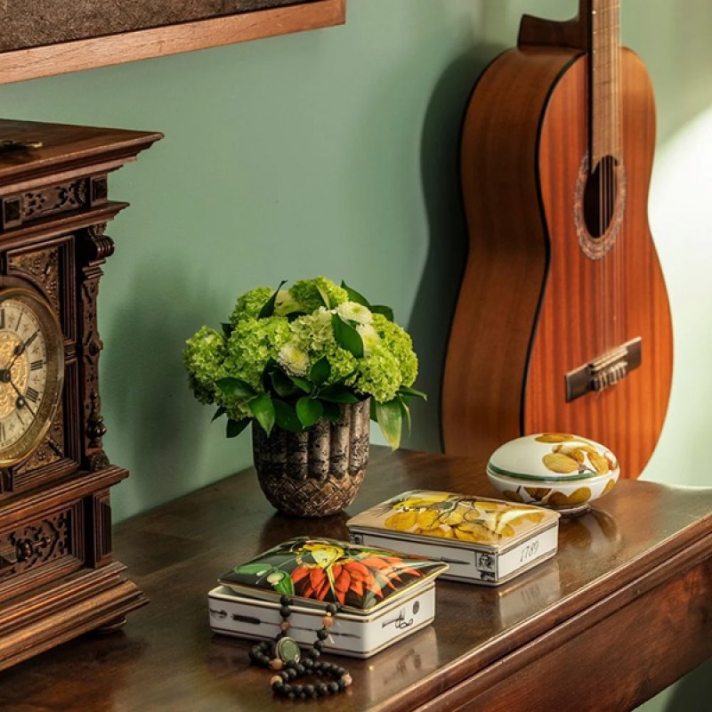 CARDBOX ESC AMAZONIA